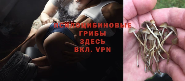 гидра Гусиноозёрск