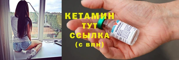 гидра Гусиноозёрск