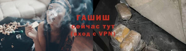 гидра Гусиноозёрск