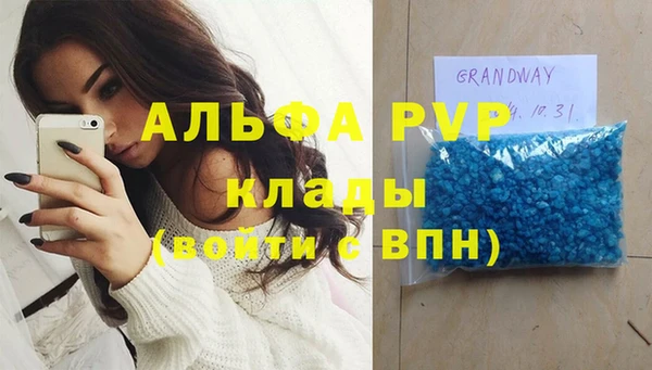гидра Гусиноозёрск