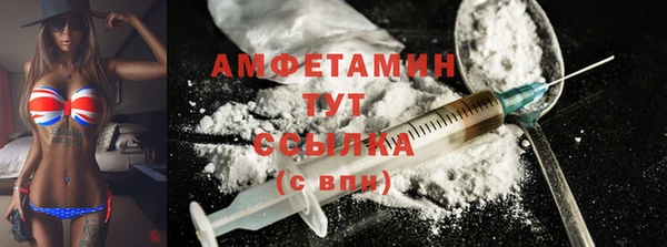 гидра Гусиноозёрск