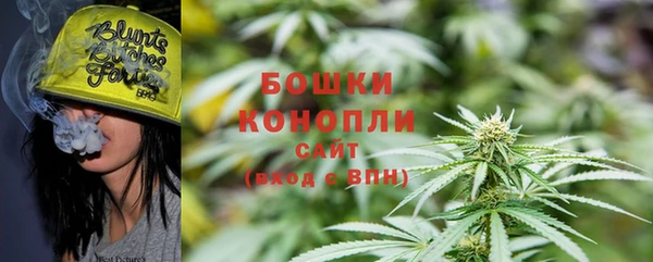 гидра Гусиноозёрск