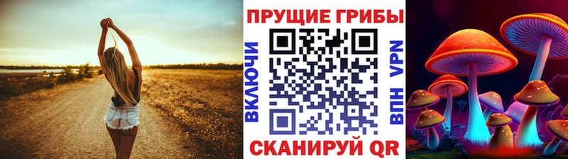 Купить где  Орехово-Зуево  Псилоцибиновые грибы Magic Shrooms 
